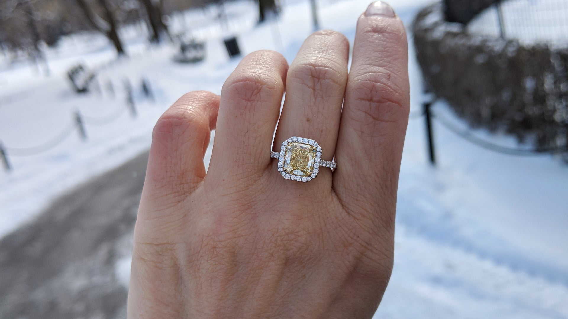 Diamond Ring Jewelry Stores Ottawa Diamond Ring Jewelry Stores