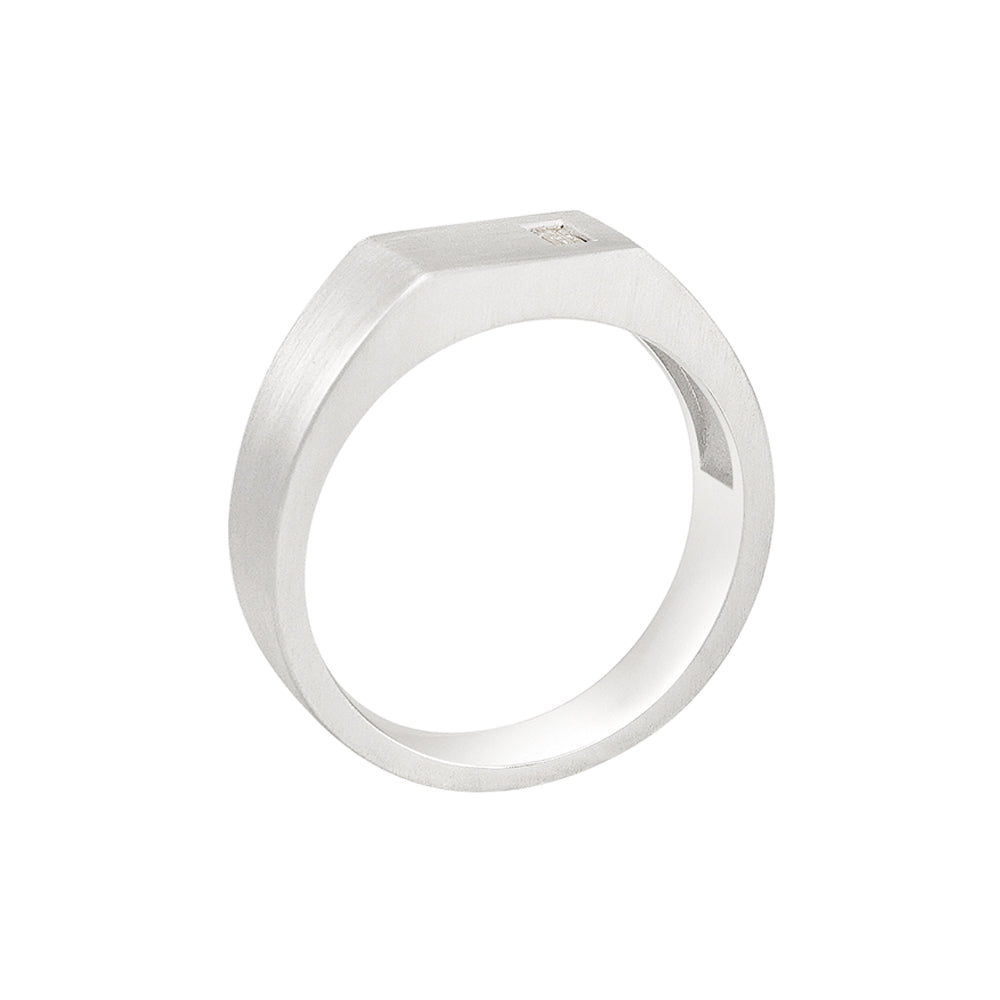 Rectangle Signet Ring with Diamond for David