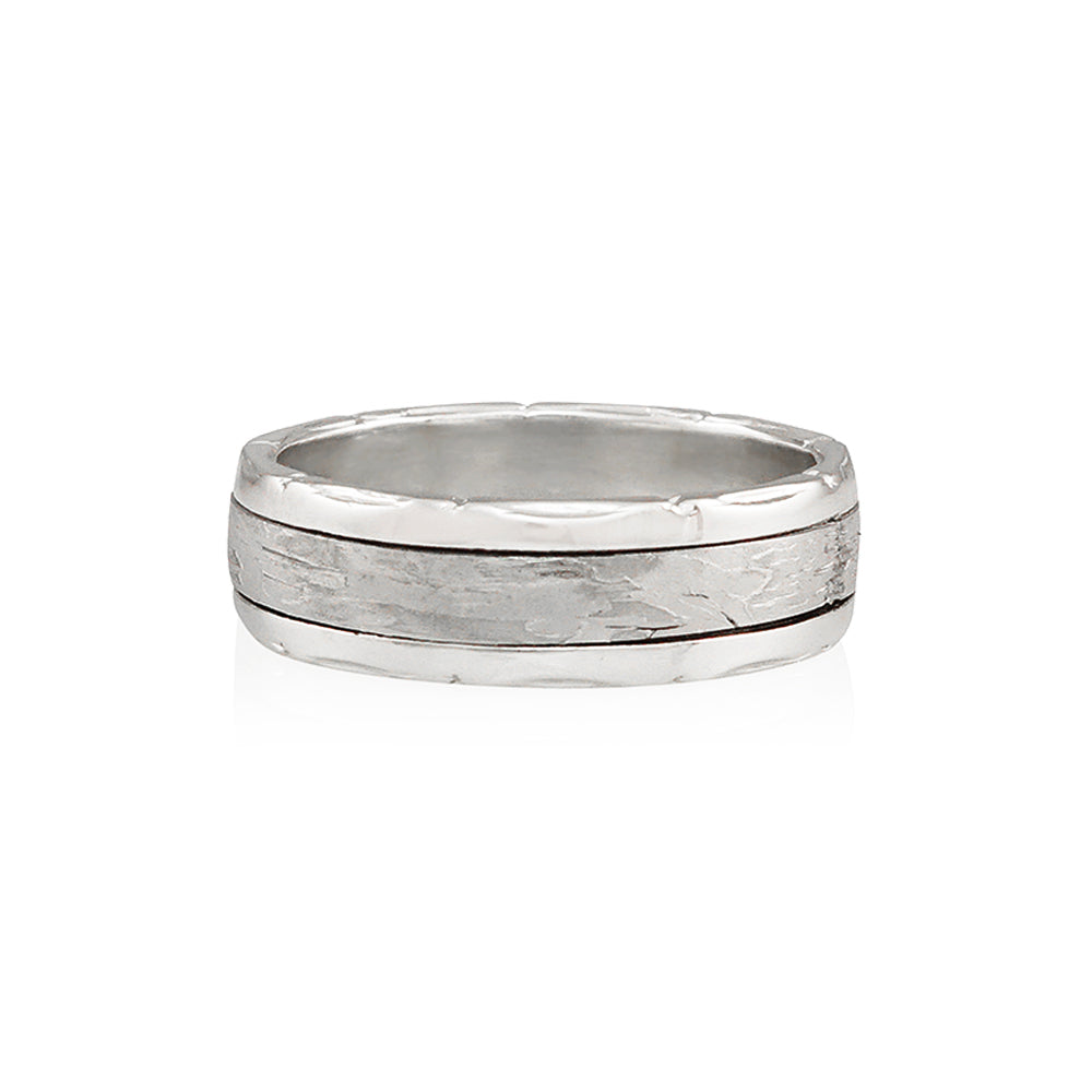 Meteorite and Bones Men's Wedding Band for Bill