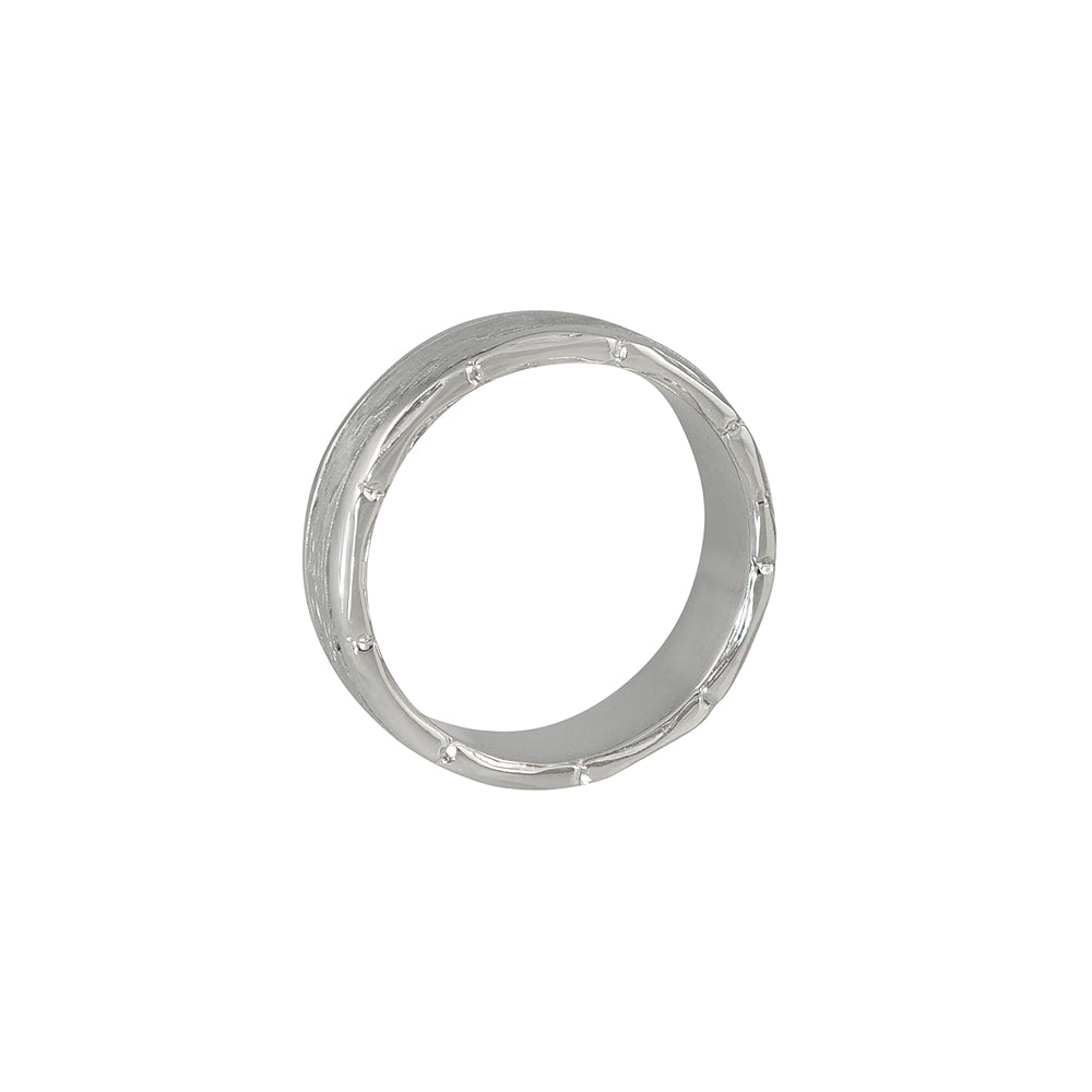 Meteorite and Bones Men's Wedding Band for Bill